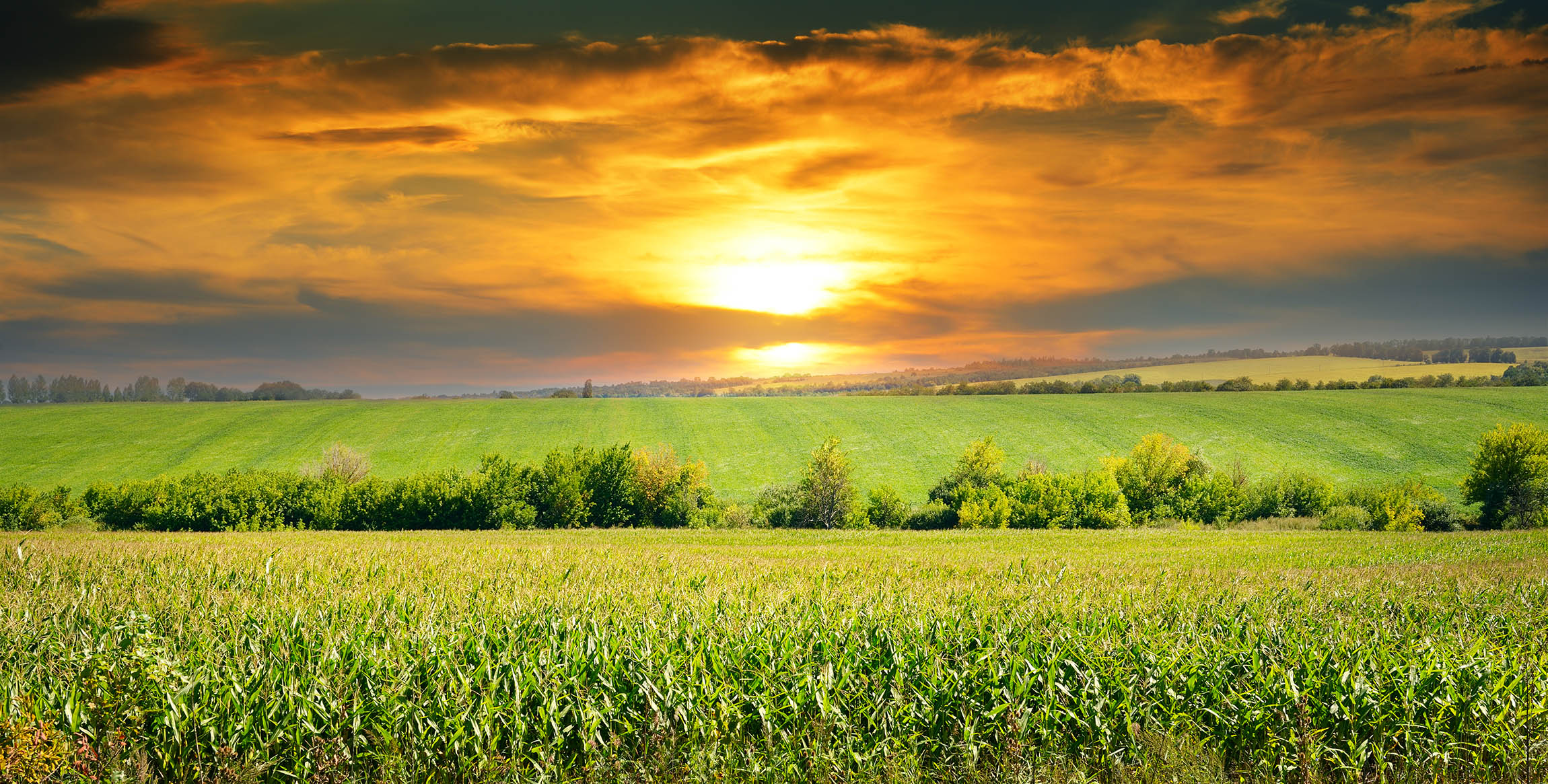 Rural Miami County Kansas